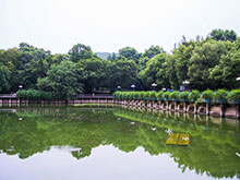 武漢大學(xué)深圳研究院環(huán)境