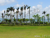 武漢大學(xué)周邊旅游環(huán)境