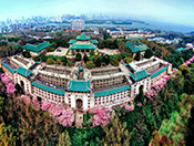 武漢大學(xué)全景