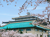 武漢大學(xué)特色建筑
