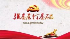 武漢大學(xué)基層黨建干部培訓(xùn)班