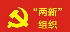 武漢大學(xué)兩新組織培訓(xùn)班