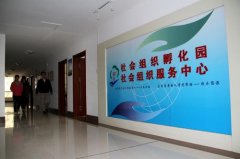 武漢大學武昌區社會組織孵化基地現場教學