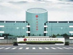武漢大學武漢紅金龍實業有限公司現場教學