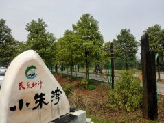 武漢大學江夏區五里界街童周嶺村小朱灣現場教學