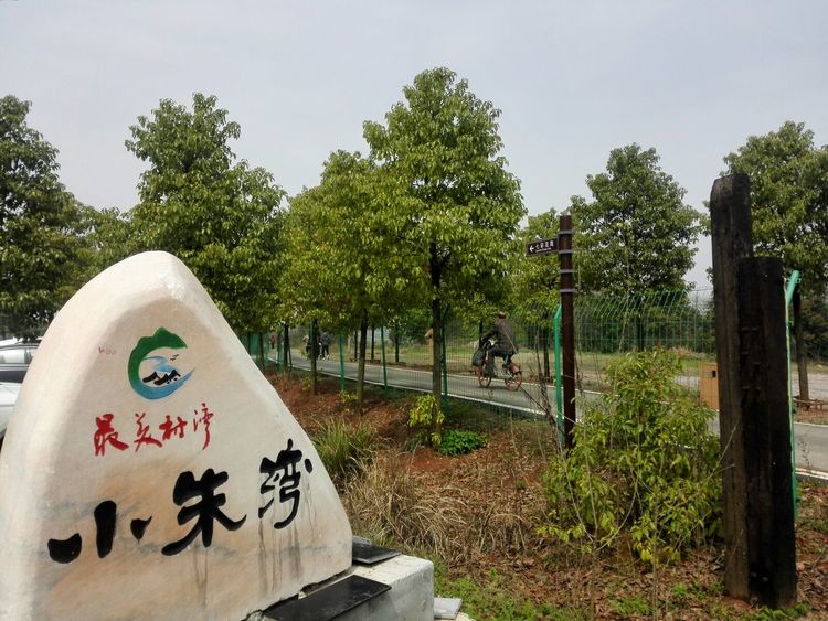 武漢大學江夏區五里界街童周嶺村小朱灣現場教學(圖1) 武漢大學江夏區五里界街童周嶺村小朱灣現場教學