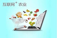 武漢大學農村互聯網農業干部專題培訓班