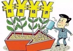 武漢大學民營經濟發展與營商環境培訓班
