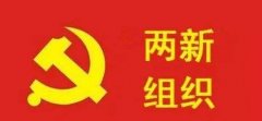 武漢大學兩新組織黨務干部培訓班
