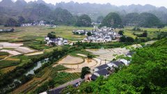 武漢大學鄉村旅游與精準扶貧專題培訓班