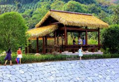 武漢大學鄉村旅游推動鄉村振興戰略實施專題培訓班