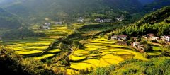 武漢大學生態農業與鄉村旅游發展專題培訓班