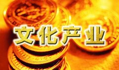 武漢大學文化產業專題培訓班