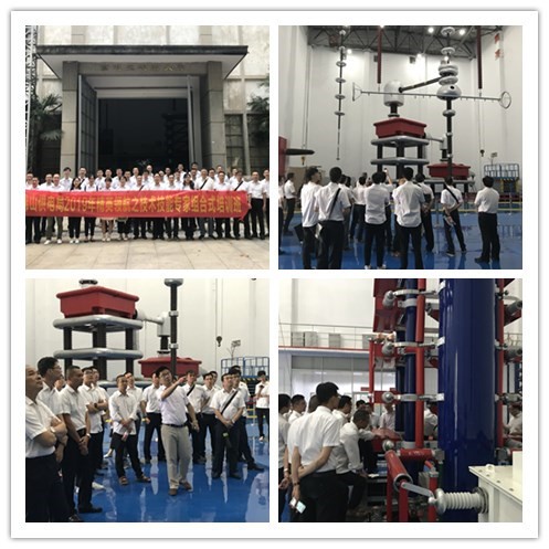佛山供電局2019年精英領(lǐng)航之技術(shù)技能專家組合式培訓(xùn)班成功舉辦(圖3) 佛山供電局2019年精英領(lǐng)航之技術(shù)技能專家組合式培訓(xùn)班成功舉辦