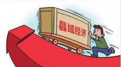 武漢大學(xué)促進(jìn)縣域經(jīng)濟(jì)發(fā)展專題培訓(xùn)班