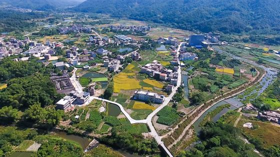 武漢大學縣域經濟高速發展專題培訓班