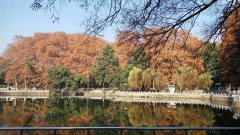 武漢大學(xué)旅游發(fā)展專題培訓(xùn)班