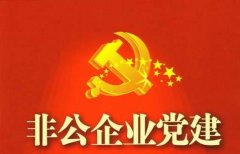 武漢大學2020年非公企業黨建專題培訓班_課程_方案_計劃