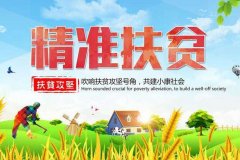 武漢大學2020年精準扶貧專題培訓班_課程_方案_計劃
