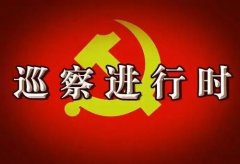 武漢大學(xué)2020年巡察干部專題培訓(xùn)班_課程_方案_計(jì)劃