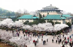 武漢大學珞珈山的“90后”