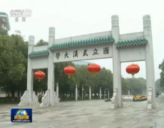 孫春蘭率中央指導組赴武漢大學調研