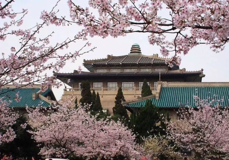 珞珈櫻花，灣區綻放——2020年寶圖武大名師云講堂(圖1)