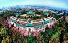 “520”，聽聽武大戰“疫”夫妻檔怎么表白