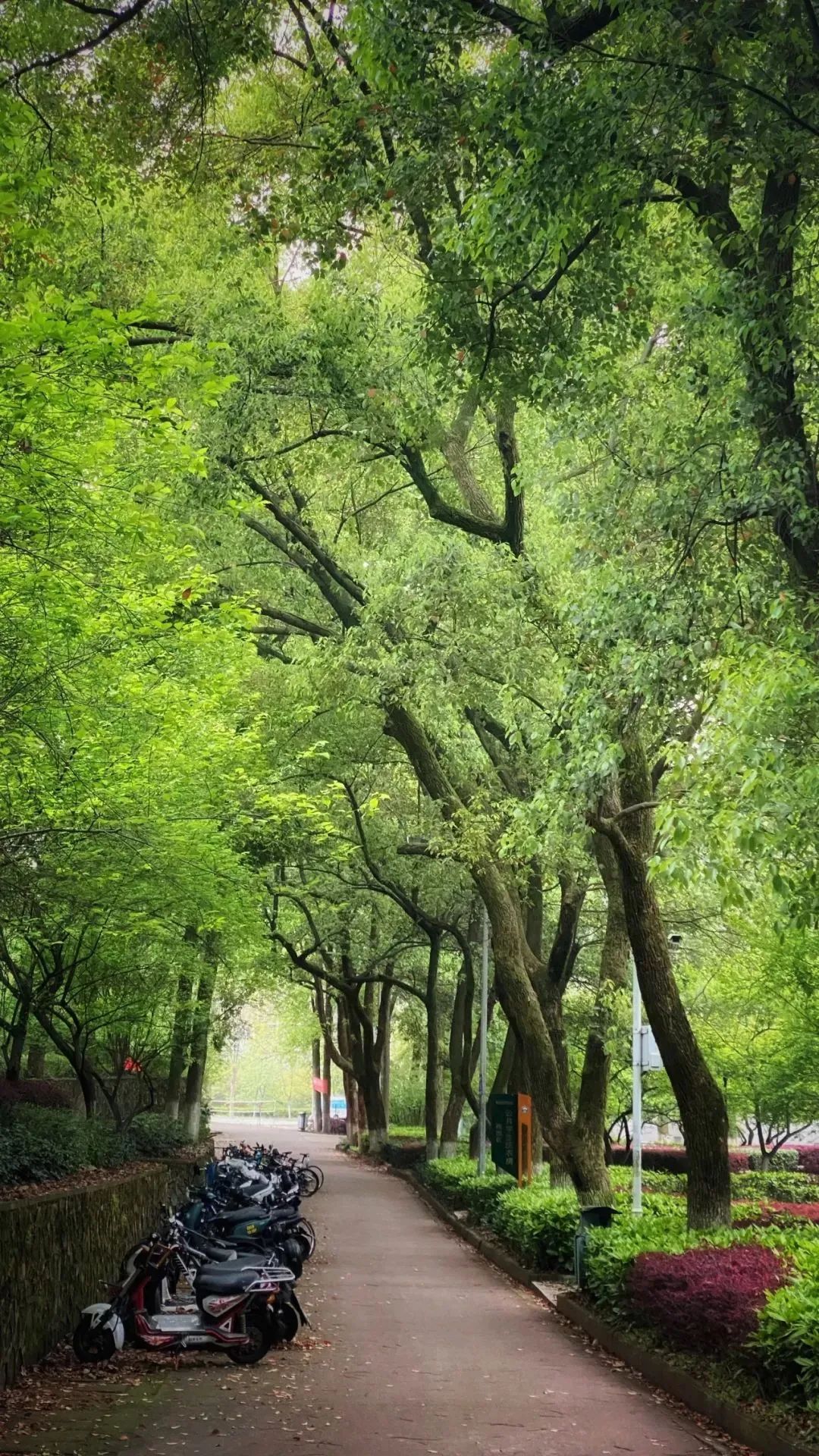 晝晷已云極，宵漏自此長。珞珈清景是微涼(圖2)