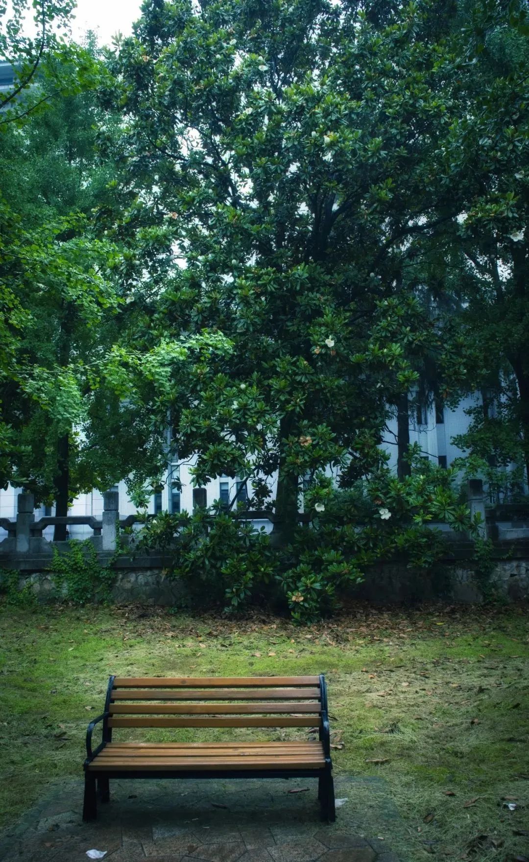 晝晷已云極，宵漏自此長。珞珈清景是微涼(圖3)