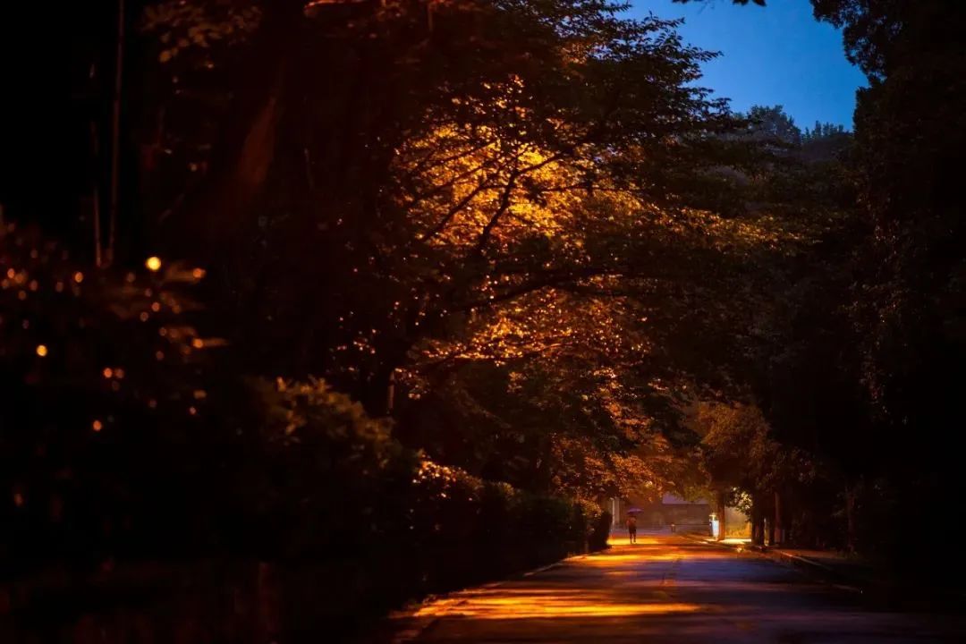 晝晷已云極，宵漏自此長。珞珈清景是微涼(圖19)