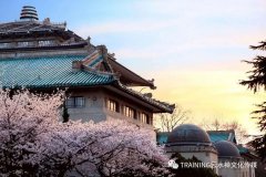 武漢大學新時代黨政干部“職業能力”提升培訓課程指南 ——武漢大學干部培訓專題與精品課程系列