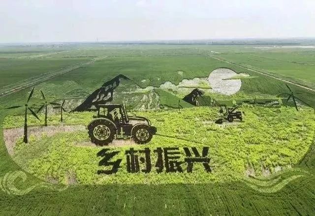 【鄉村振興】發揮法治助推鄉村振興的效能