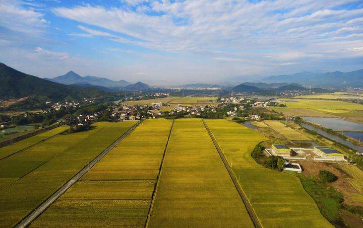 【鄉村振興】基層干部有作為 鄉村振興動力足