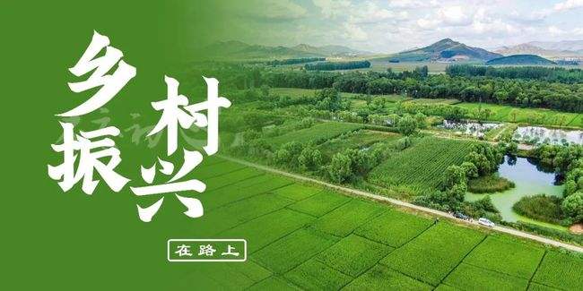 【鄉(xiāng)村振興】發(fā)力鄉(xiāng)村產(chǎn)業(yè) 促3000萬脫貧人口就業(yè)