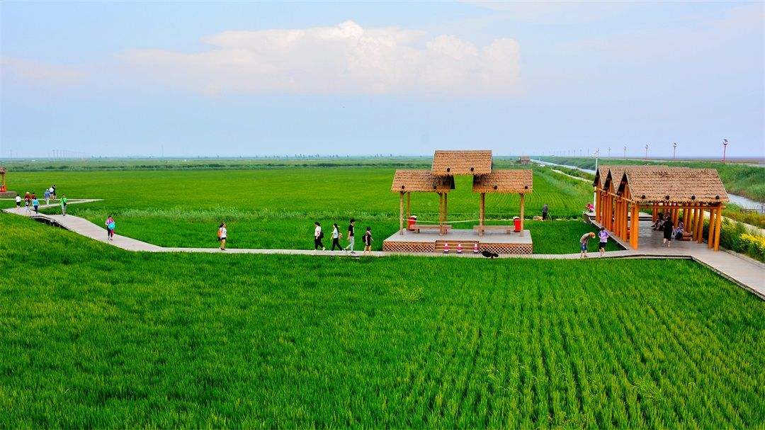 【鄉(xiāng)村振興】我國有勞動力的易地扶貧搬遷家庭基本實現(xiàn)至少1人就業(yè)