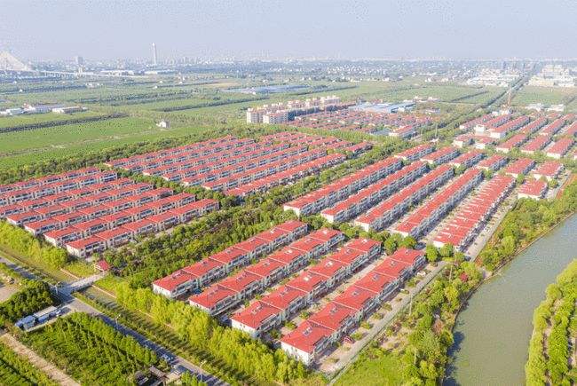 【鄉村振興】凝聚電商力量 助力封開鄉村振興 