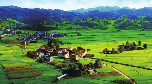 【鄉(xiāng)村振興】鄉(xiāng)村振興需要有產(chǎn)業(yè)