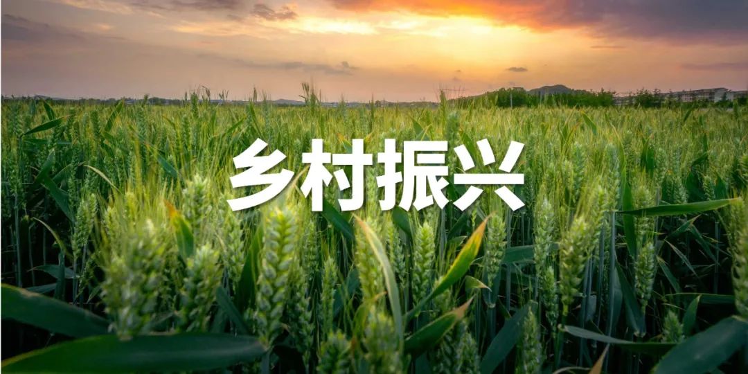 【鄉村振興】鄉村全面振興對強化鄉村產業支撐帶動能力提出更高要求