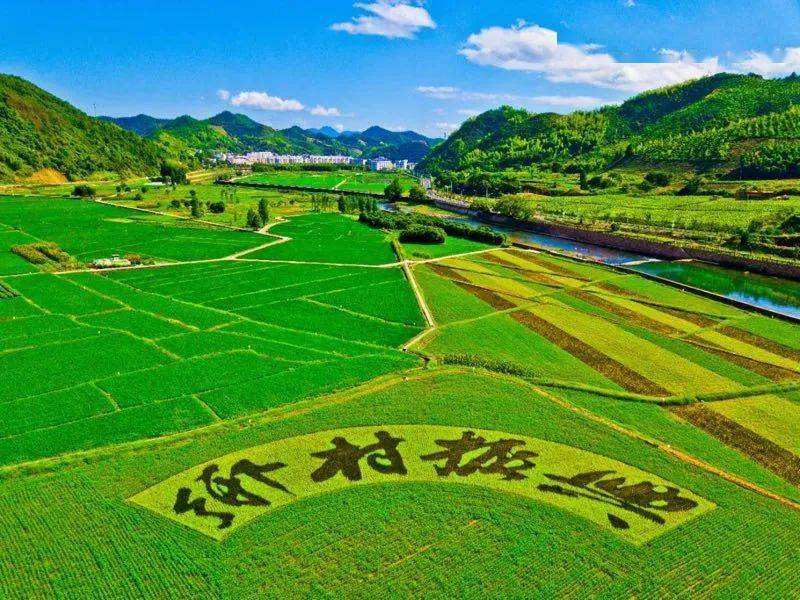 【鄉村振興】培育發展設施農業扎實推進鄉村全面振興