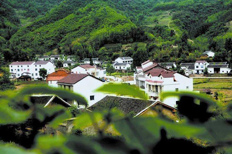 【鄉村振興】聚焦人才鏈建設 培育農業新質生產力