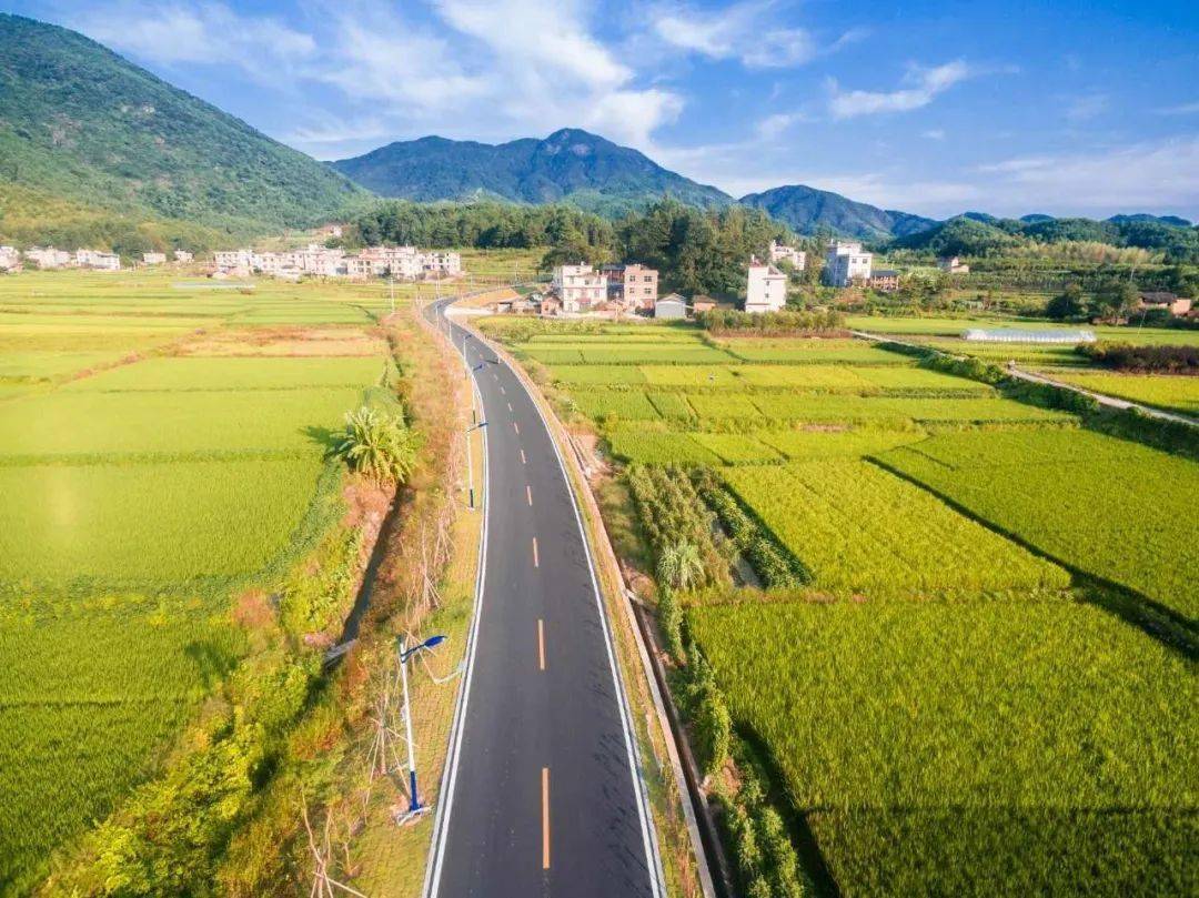 【鄉村振興】扎實推進鄉村全面振興特色產業助增收
