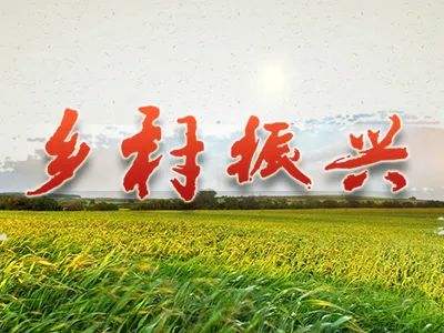 【鄉村振興】產業興旺助力農民增收扎實推進鄉村全面振興