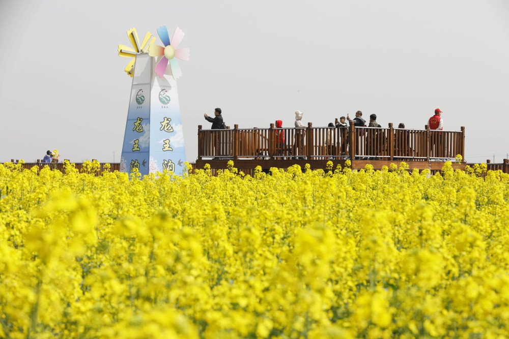 【鄉(xiāng)村振興】農(nóng)業(yè)農(nóng)村部：二季度生豬市場(chǎng)形勢(shì)有望好于2023年同期