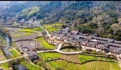 【湖北黨建】湖北清廉村居建設圍繞“四大行動”展開