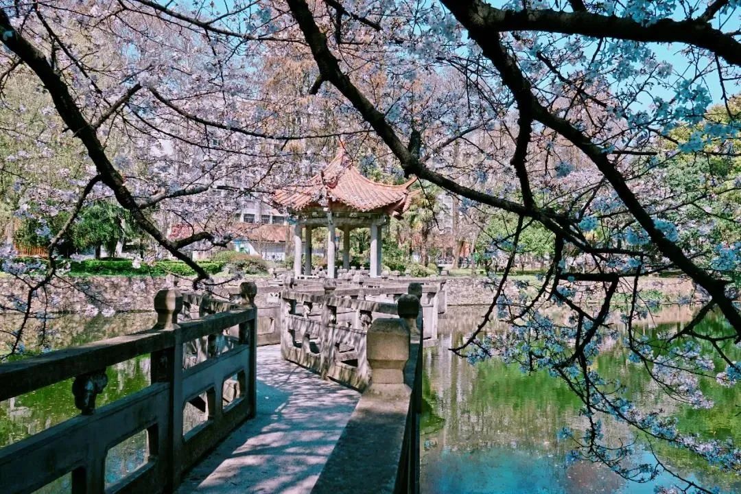 國家文化發展研究院入選首批文化和旅游行業智庫建設試點單位